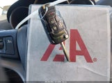 Miniaturka zdjęcia 11