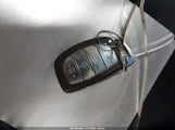 Miniaturka zdjęcia 11