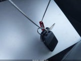 Miniaturka zdjęcia 11