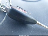 Miniaturka zdjęcia 11