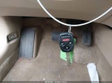 Miniaturka zdjęcia 11