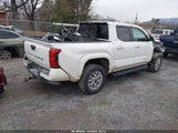 Miniaturka zdjęcia 4