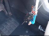 Miniaturka zdjęcia 11