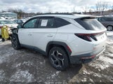 Miniaturka zdjęcia 3