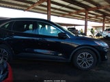 Ford Escape Sel 1FMCU0H65MUA63213 снимка