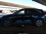 Ford Escape Sel 1FMCU0H65MUA63213 снимка