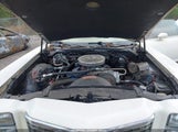 Ford Ranchero 7A48H182762 fotografie