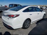 Hyundai Sonata Hybrid Limited KMHE34L11GA024493 photo