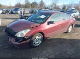 Miniaturka zdjęcia 2