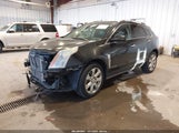 Cadillac Srx Premium Collection 3GYFNKE62BS584718 снимка