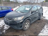 Honda Cr-V Lx 2HKRM4H33DH671298 снимка