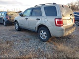 Ford Escape Xlt 1FMCU03138KB91625 снимка