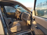 Ford Escape Xlt 1FMCU03138KB91625 снимка
