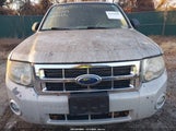 Ford Escape Xlt 1FMCU03138KB91625 снимка
