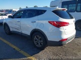 Hyundai Santa Fe Sport 2.4L 5XYZT3LB3GG360929 снимка