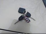 Miniaturka zdjęcia 11