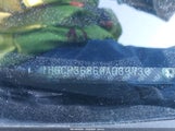 Honda Accord 3.5 Ex-L 1HGCP36869A039739 fotografie