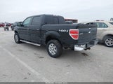 Ford F-150 Xlt 1FTFW1EF0DKG27397 снимка