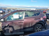 Toyota Rav4 Xle 2T3RFREV1GW524424 снимка