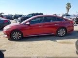 Hyundai Sonata Sport 5NPE34AF4FH050709 photo