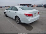 Miniaturka zdjęcia 3