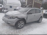 Miniaturka zdjęcia 2