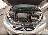 Honda Accord Ex-L V-6 1HGCR3F87DA029126 снимка