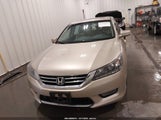 Honda Accord Ex-L V-6 1HGCR3F87DA029126 снимка