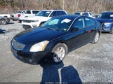 Nissan Maxima 3.5 Se 1N4BA41E17C853657 снимка