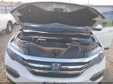 Honda Pilot Elite 5FNYF6H06HB051539 снимка