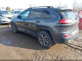 Jeep Cherokee 75Th Anniversary 1C4PJMCS5GW277024 снимка