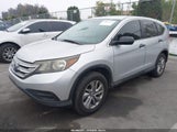 Miniaturka zdjęcia 2