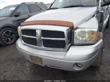 Dodge Dakota Slt 1D7HW48N17S108205 снимка