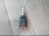 Miniaturka zdjęcia 11