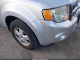 Ford Escape Xlt 1FMCU0DG6CKA09170 fotografie