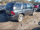 Chevrolet Trailblazer Ls 1GNDT13S062264593 снимка