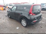 Miniaturka zdjęcia 3