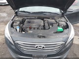 Hyundai Sonata Sport 5NPE34AF6HH441136 снимка