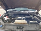 Ford F-150 Platinum 1FTFW1E83PFB29998 снимка
