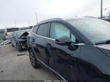 Kia Sportage Ex 5XYK3CAF0PG010262 снимка