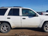Chevrolet Trailblazer Ls 1GNDT13S272214327 снимка