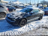Ford Mustang V6/V6 Premium 1ZVHT84NX95126684 снимка