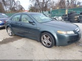 Acura Tl 19UUA66225A064361 снимка
