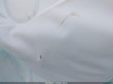 Nissan Murano S 5N1AZ2MS0KN147194 снимка