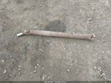 Chevrolet Trailblazer Ls 1GNDT13S462108766 снимка