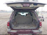 Chevrolet Trailblazer Ls 1GNDT13S462108766 снимка
