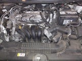 Toyota Corolla Le 5YFEPRAE2LP082260 снимка