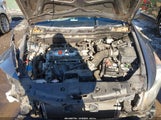 Miniaturka zdjęcia 10