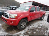 Toyota Tacoma Base V6 5TEMU52N67Z325063 photo