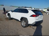 Toyota Rav4 Xle 2T3W1RFV8KC019538 снимка
